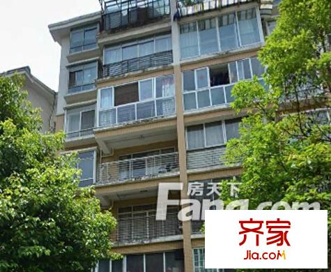 新添菜場小區(qū)外景圖  3