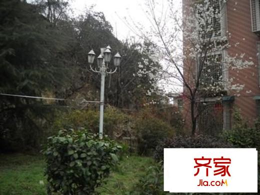 興居園小區(qū)外景圖 