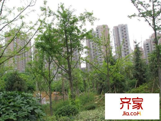 金元國際新城外景圖小區(qū)（攝于2010.06）