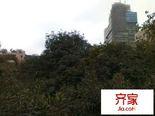 柳灣小區(qū)外景圖 