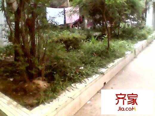 飛山街小區(qū)外景圖 