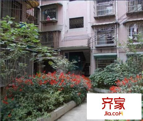 飛山街小區(qū)外景圖 