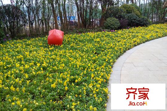 中鐵逸都國際小區(qū)環(huán)境（2015-03-26）