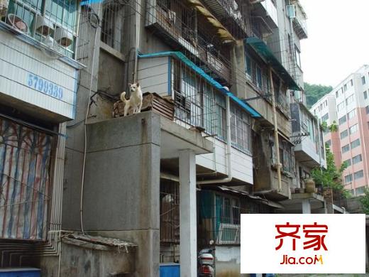 沙沖路加油站旁民宅外景圖 