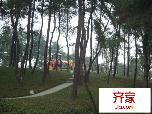 大川白金城售樓部?jī)和瘖蕵穲?chǎng)（2013-12-18）