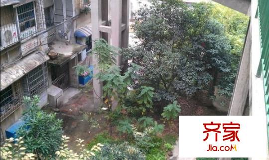 觀水路地化所小區(qū)外景圖 