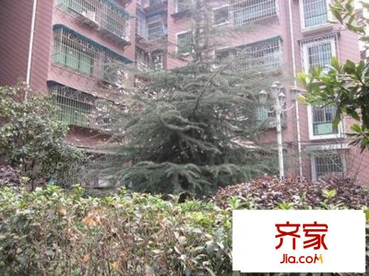興居園小區(qū)外景圖 