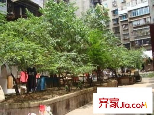 飛山街小區(qū)配套圖 周邊配套