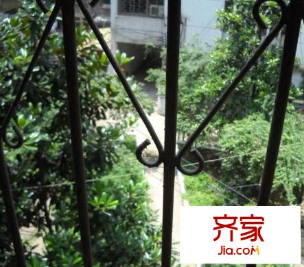 飛山街小區(qū)外景圖 