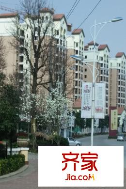 米蘭春天實(shí)景圖小區(qū)（2015-03-20）