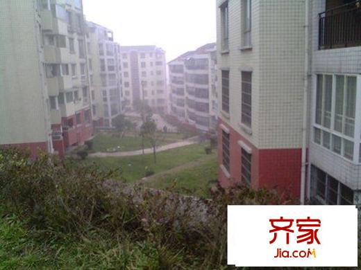 黎陽家園外景圖 