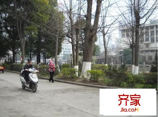 金岸玉都外景圖 