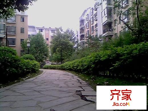 中天山水園外景圖 