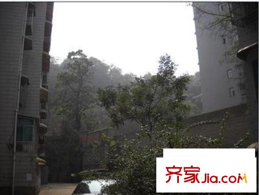 武岳新村配套圖 周邊配套