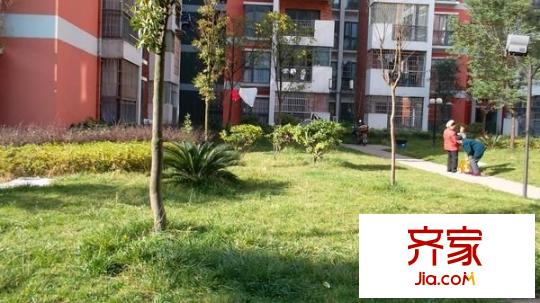 上河城外景圖 1室 戶型圖