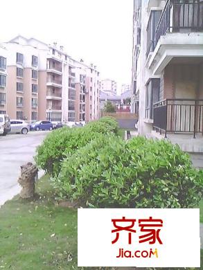 中天山水園外景圖 