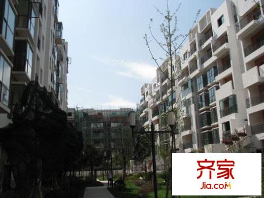 上河城外景圖
