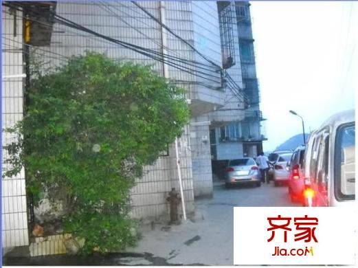 貓貓坡社區(qū)外景圖 