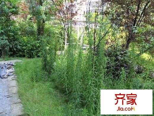貓貓坡社區(qū)外景圖 