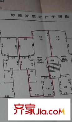 小石城 3室 戶型圖