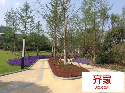 濱湖俊園售樓部（2014-4-17-）