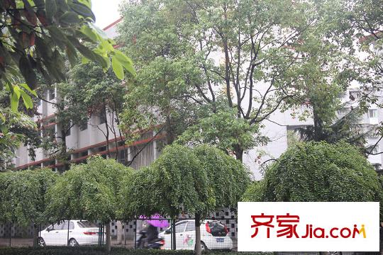 元琦林居配套小學(xué)花溪實(shí)驗(yàn)一小