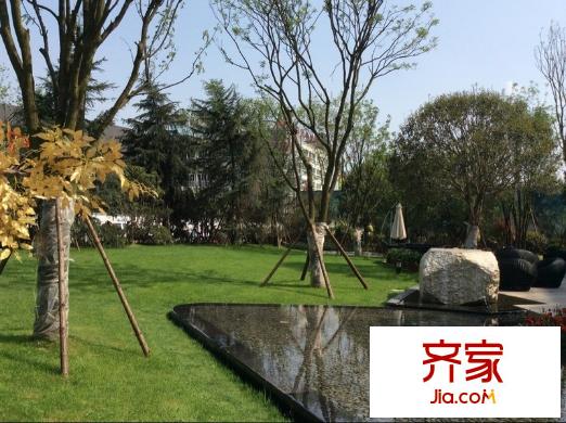 濱湖俊園售樓部綠化（2014-4-17-）
