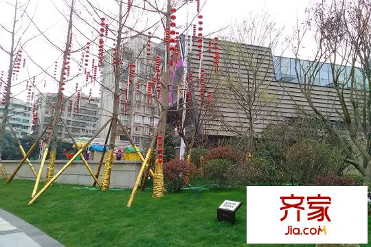 北大資源繽紛廣場項(xiàng)目花園（2015-3-13）