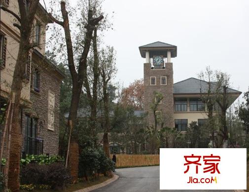 經(jīng)典天成別墅外景圖  3