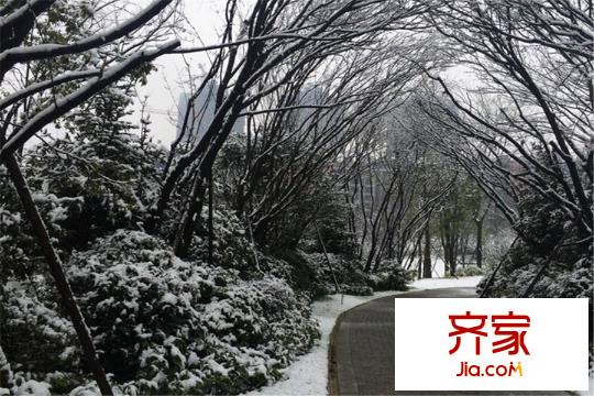 俊發(fā)城項(xiàng)目實(shí)景2015-1-29