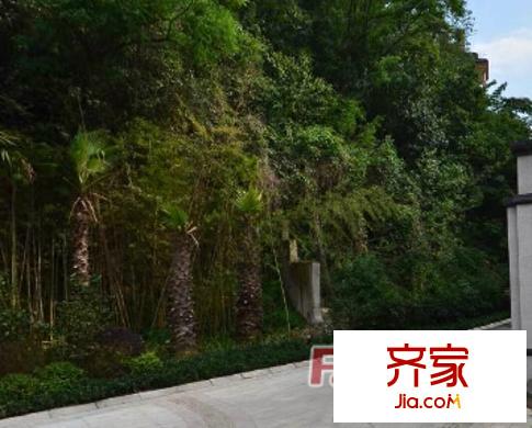 經(jīng)典天成別墅外景圖  2