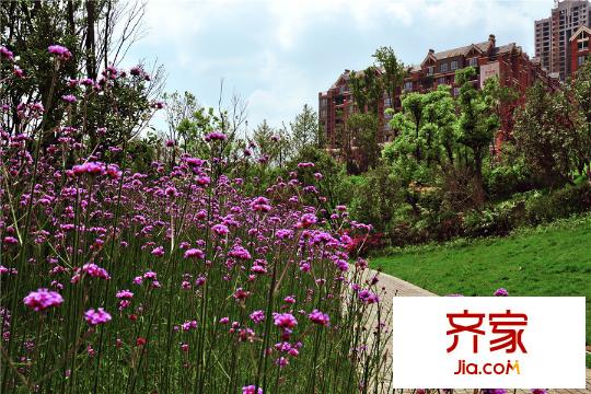 俊發(fā)城項(xiàng)目實(shí)景2015-7-17