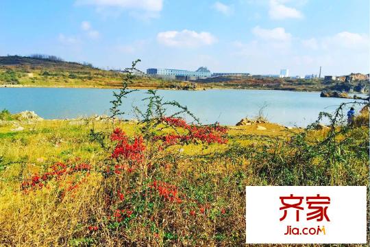 廣大上城小區(qū)湖景(2015-12-23)