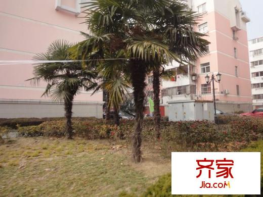 盛世嘉園外景圖DSC08201