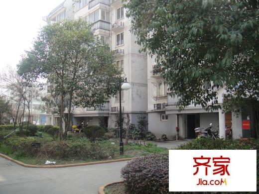 綠洲家園外景圖 