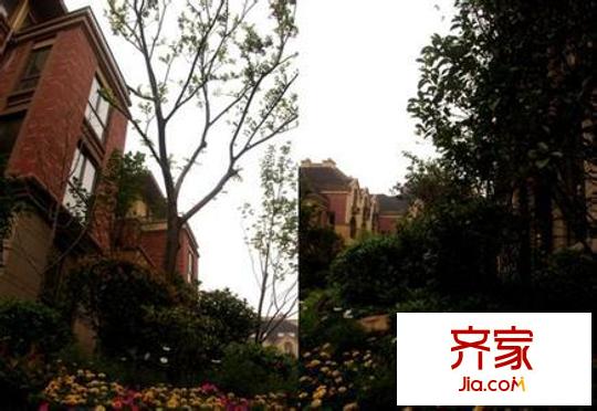 中遠(yuǎn)美墅外景圖5