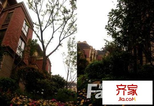 中遠(yuǎn)美墅外景圖5