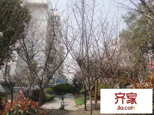 綠洲家園外景圖 