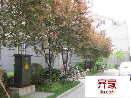 花園小區(qū)外景圖 