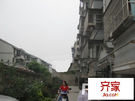 合成花園外景圖 