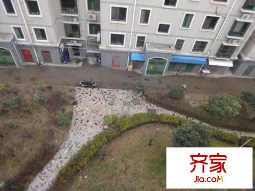 萊茵達(dá)都市楓林外景圖2