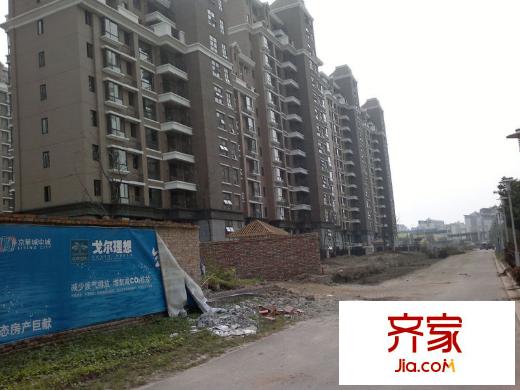 戈爾理想