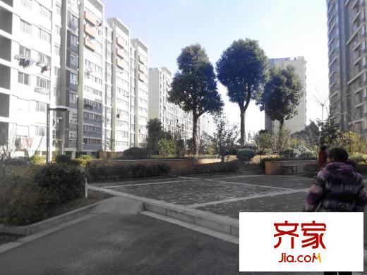 金港花園外景圖7
