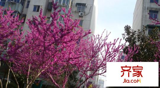 潘橋路供電局宿舍外景圖7