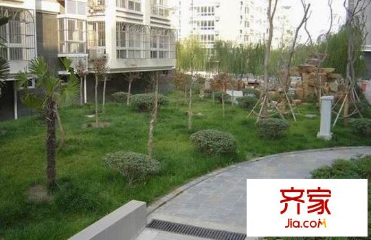 金菊花都外景圖200532811957659