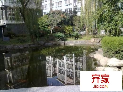 金菊花都外景圖 