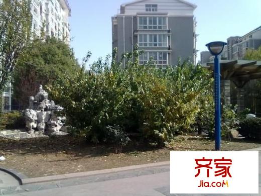 金菊花都外景圖 