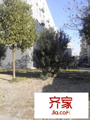 金山花園外景圖1