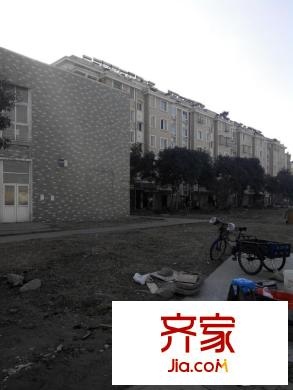 金山花園外景圖6