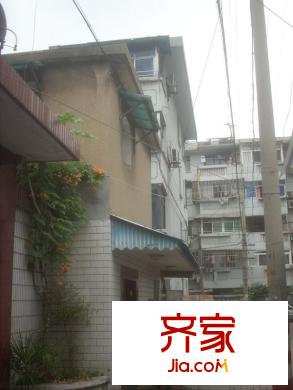 安樂街坊外景圖 